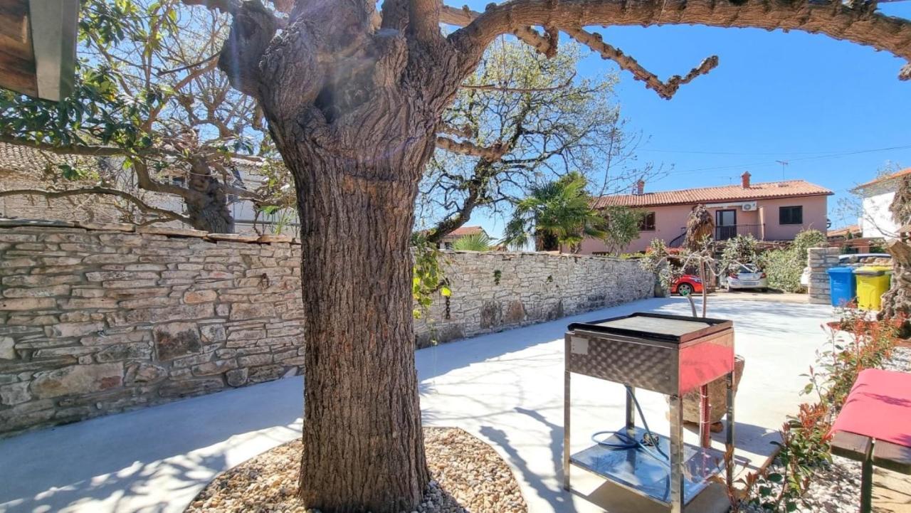 Casa Mora Lägenhet Novigrad Istria Exteriör bild